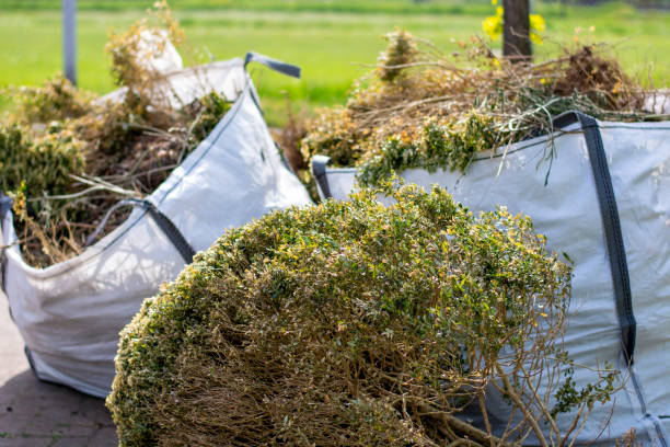 Best Yard Cleanup Services  in Lucedale, MS
